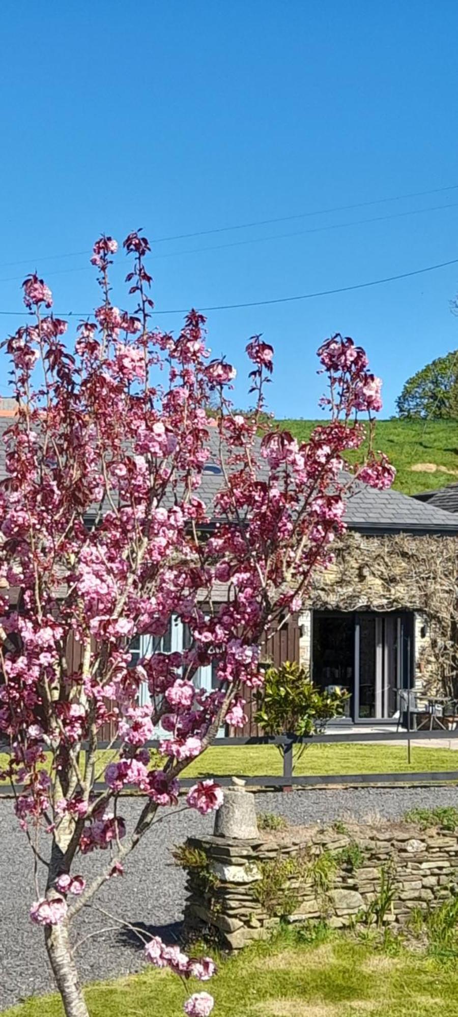Wisteria Barn, Trewethen, St Teath, Nr Port Isaac Villa Saint Teath Luaran gambar